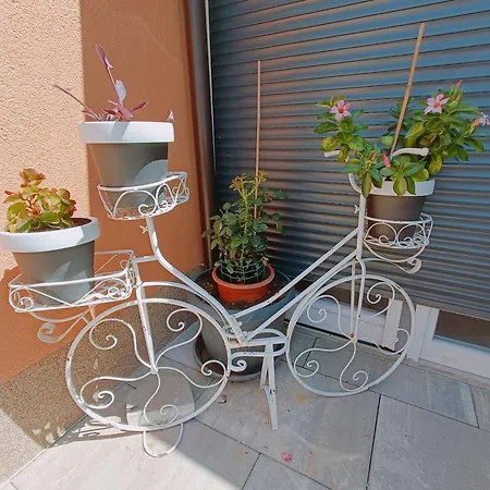 Apartman Slavica *